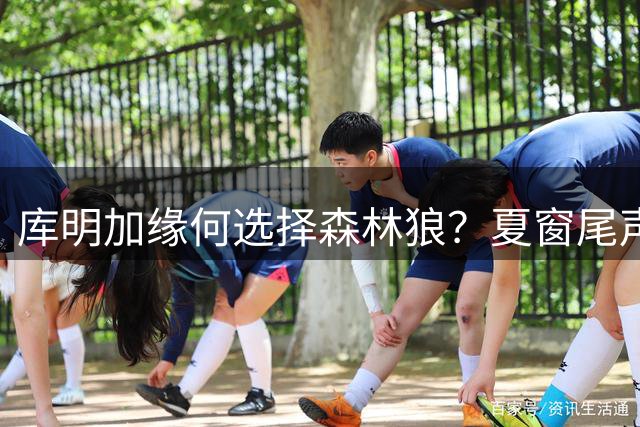 库明加缘何选择森林狼？夏窗尾声还有哪些球员未签约？